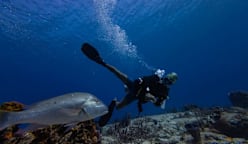 As the UN's High Seas Treaty takes effect, what does it mean for Southeast Asia?