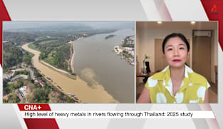 What's Coming Up - Insight Investigates If Toxic Waters Are Feeding Thailand’s Rice And Fish
