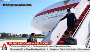 Indonesia-France ties: Prabowo to hold talks with Macron on defence, energy cooperation 