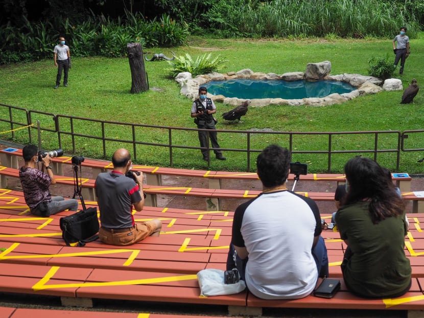 Visitors at the Jurong Bird Park on Sept 16, 2020.