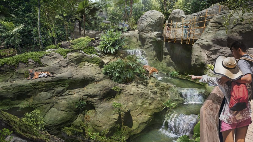 Singapore's fifth wildlife park to open in March 2025