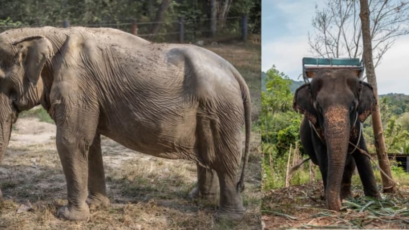 Gambar Pilihan Hari Ini