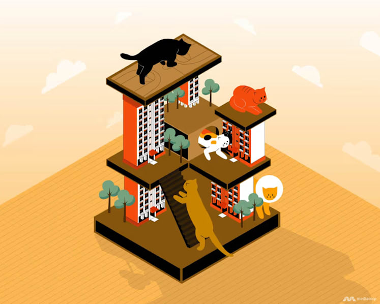 The Big Read: With the ban in HDB flats set to be lifted, can pet cats coexist in harmony with residents?