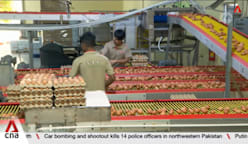 Local farms boost output but brace for rising costs, bad weather 