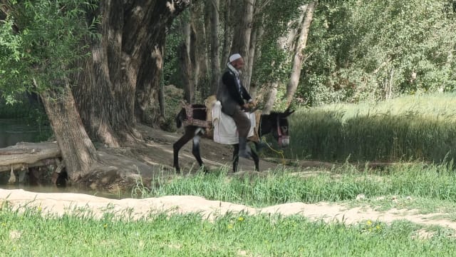 【城市呼吸｜陈荣光】巴米扬藏着不止一尊巨大卧佛像