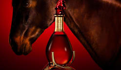 Martell’s Assemblage du Cheval: A cognac as spirited as the horse it celebrates