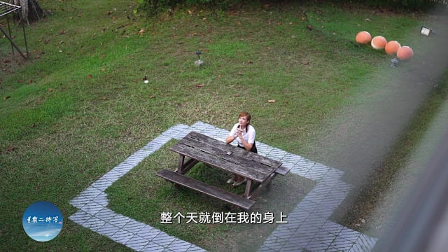 星期二特写 | 预告：来不及说再见 - 爸爸留下的