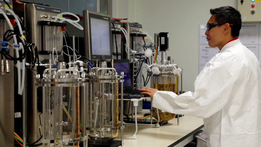 Singapore manufacturing output continues growth trajectory, up 4% in October