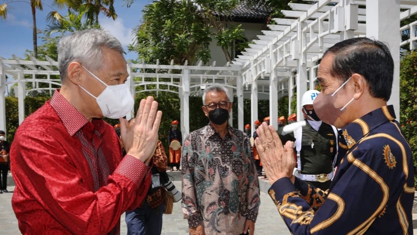 Singapore, Indonesia ink agreements on longstanding issues of airspace management, extradition and military training