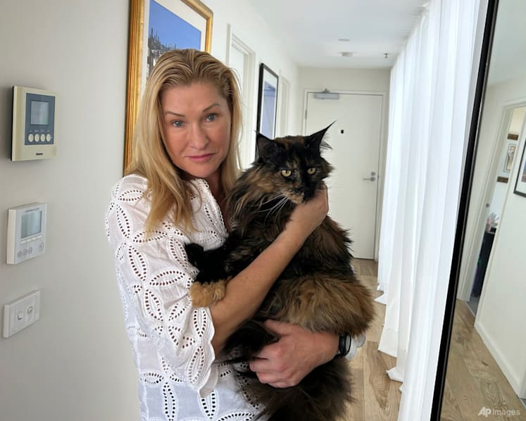 Cat becomes accidental frequent flyer after getting mistakenly left on Air New Zealand flight