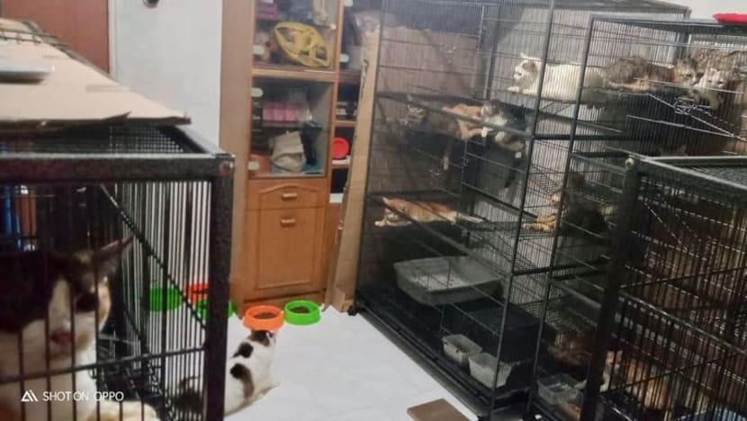 Related article image