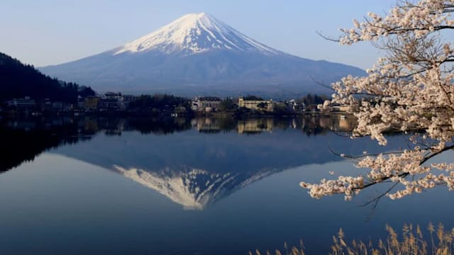 中国赴日旅游遇退订潮 逾54万张飞日机票被取消   