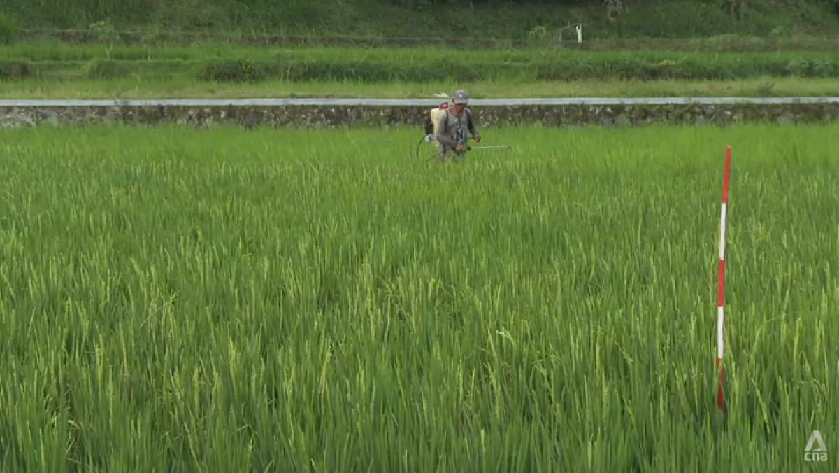 Asian Development Bank pledges continued support for Southeast Asia amid economic uncertainty