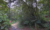 Cyclist shot near SAF range under investigation for wilful trespass