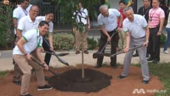 Related article image
