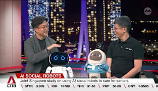 Singapore study to explore using AI social robots to interact with seniors