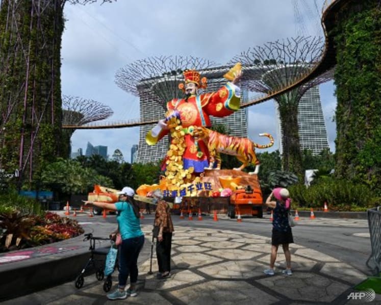 Stay home for Chinese New Year if you're feeling unwell, COVID-19 task force co-chairs advise
