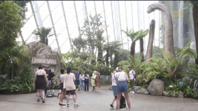 中国学校放暑假有望带动本地旅游市场 报名游学团人数增加