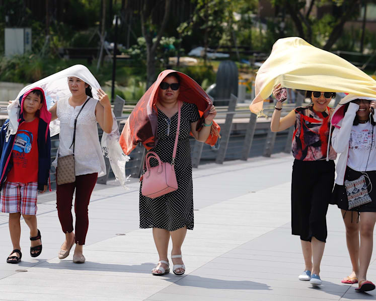 Cool project underway: Singapore to develop road map to reduce urban warming