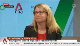 Essential to change value systems towards nature in Southeast Asia: Analyst
