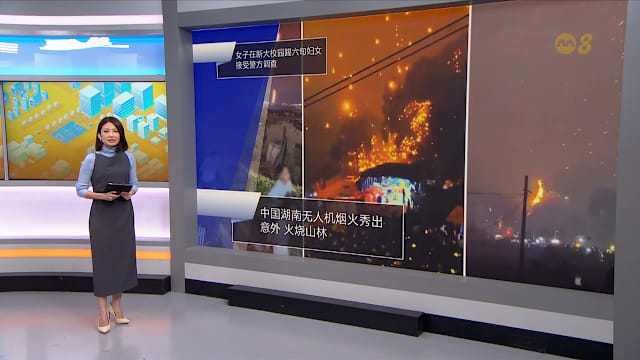 狮城有约 | 8分看视界：看烟火变林火 国内外踢人事件引热议