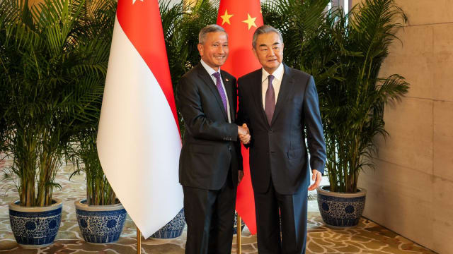 维文：在难以预测国际局势中 新中良好关系让人看见曙光