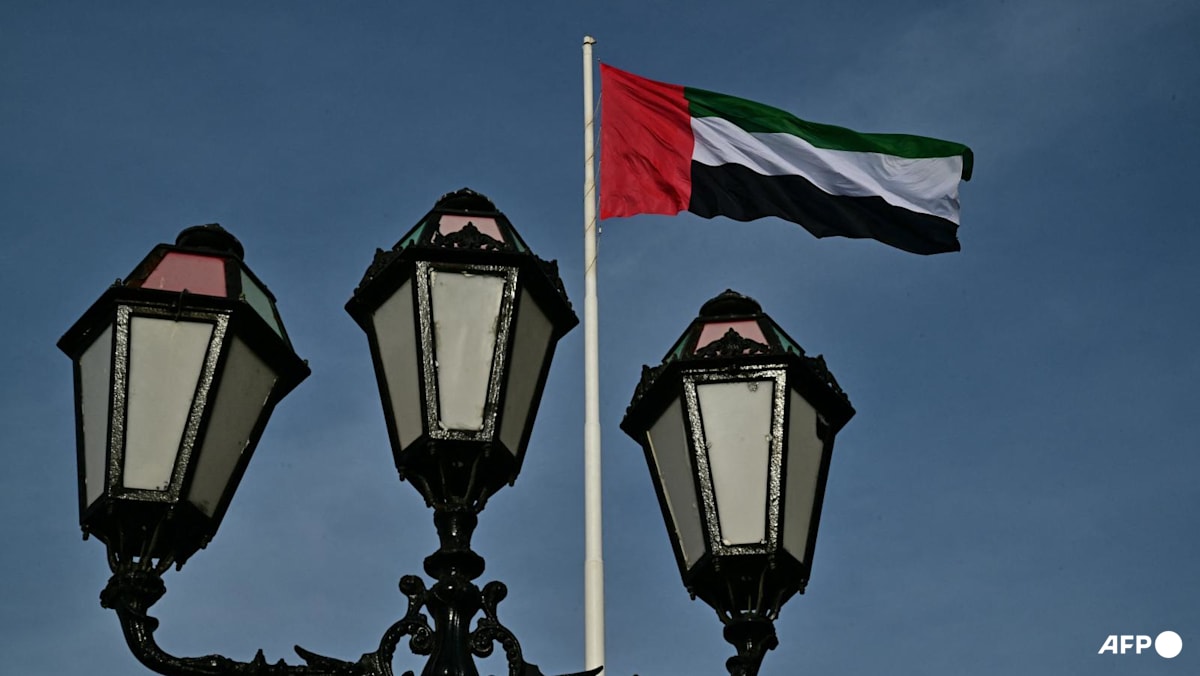 UN experts urge UAE to free British businessman