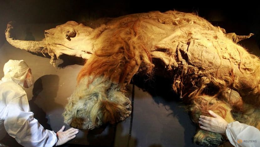 RNA recovered from Siberian mammoth that died 39,000 years ago