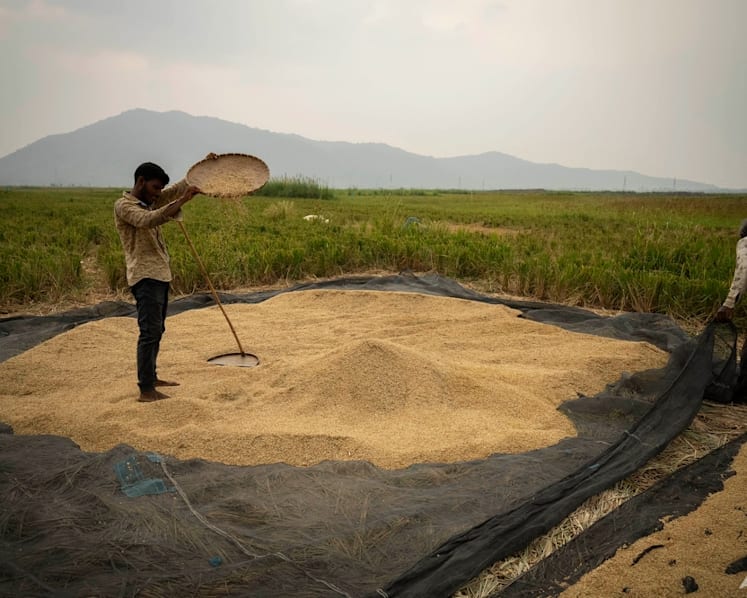 Commentary: India's rice export ban will damage its claim to lead the Global South