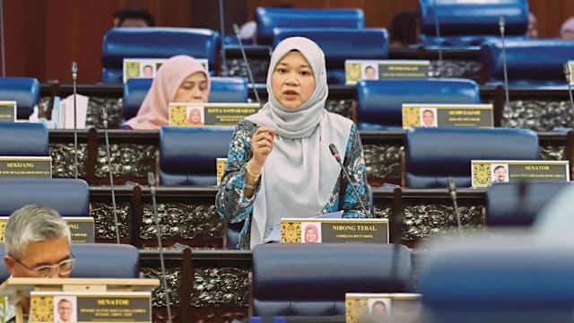 马国校园暴力事件频发 教育部推五大改革
