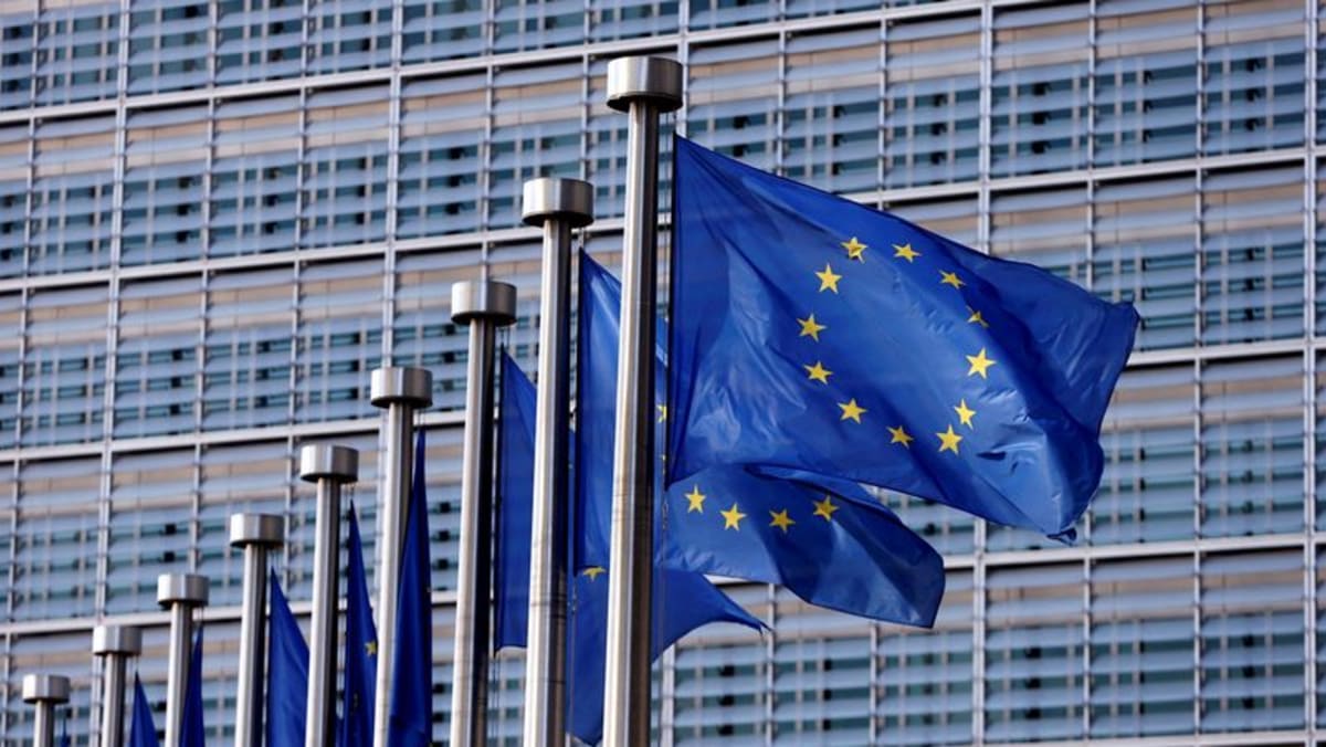 EU denies picking on US tech giants, says US also tackling monopolisation