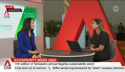 Asia's climate action must adopt a holistic and systemic strategy: Temasek 