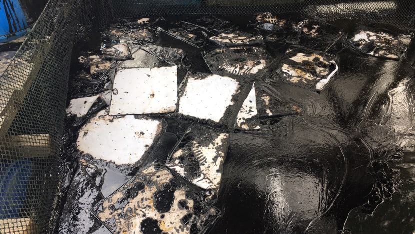 12 farms ordered to stop fish sales in aftermath of oil spill