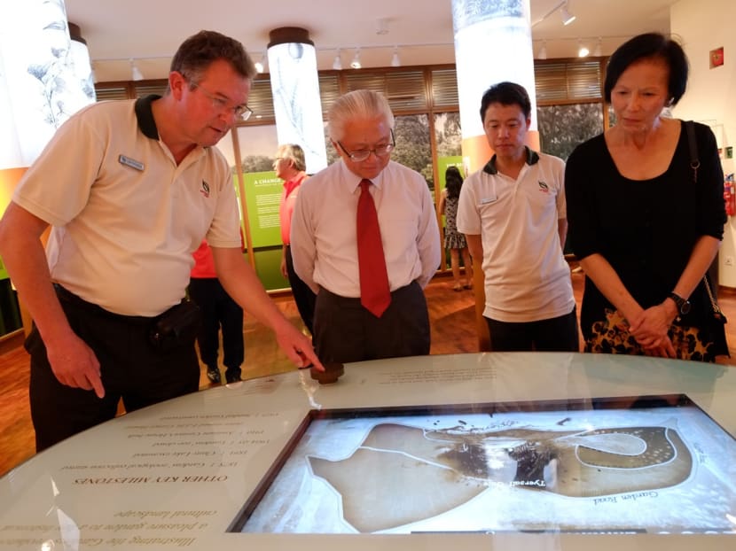 System developed to support iconic Tembusu trees