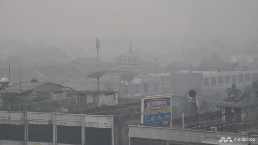Indonesia preparing 'very well' for haze amid possible return of El Nino, says minister Indonesia preparing 'very well' for haze amid possible return of El Nino, says minister