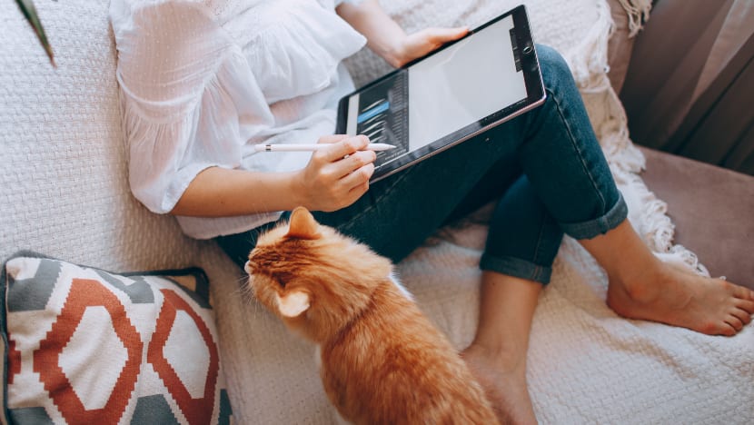 More room rentals have 'no WFH' policy; landlords cite high utility bills, privacy issues