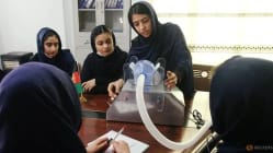 Related article image
