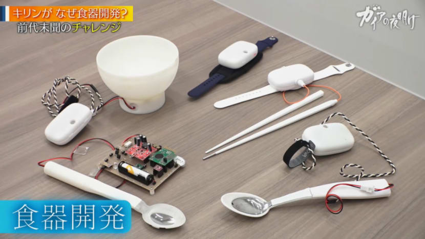 Gaia Series 46 : World's first! Kirin's "low-sodium tableware"