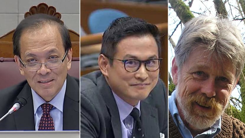In full: Charles Chong says historian Thum had 'engineered' support for himself, points to 'coordinated attempt' with 'foreign actors' to subvert parliamentary process