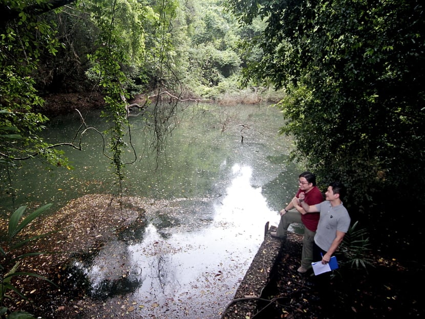 Abandoned reservoir near Telok Blangah Road found