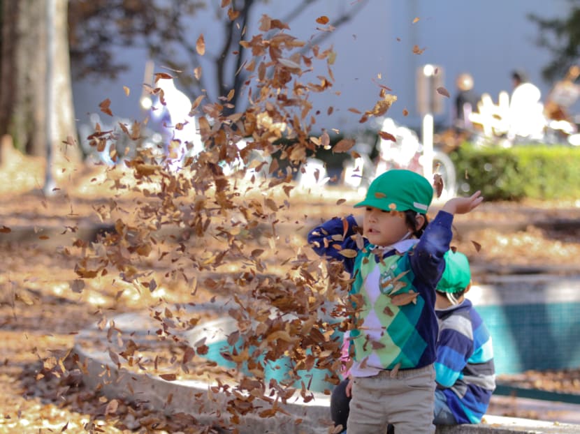 In Japan’s pre-schools, children must play