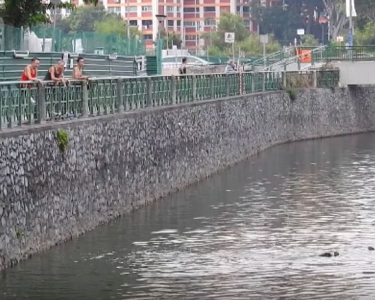 Alleged otter baiting: Authorities looking into possible case of animal cruelty