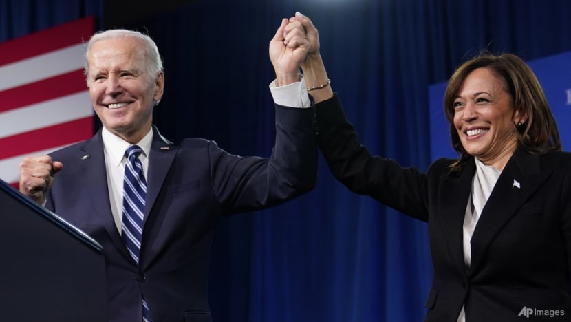 Biden has withdrawn from the US presidential race. What happens next?  