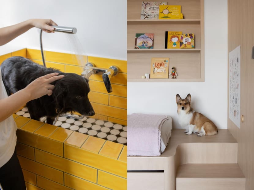 From peepholes to dog baths: How Singapore 'pawrents' are renovating with pets in mind
