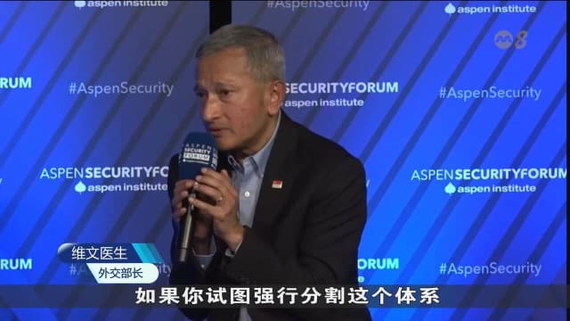 维文：国际秩序正经历变化 对大小国都构成危险