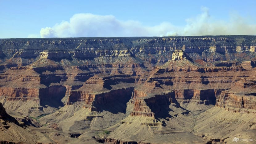 Tourists, residents evacuated from Grand Canyon due to wildfires Tourists, residents evacuated from Grand Canyon due to wildfires
