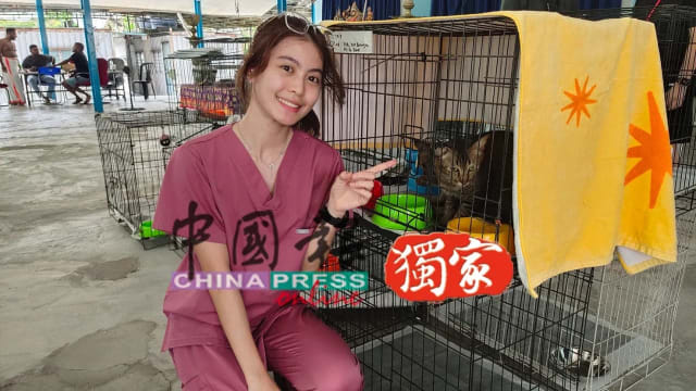 美女兽医休假赴天燃气管灾场 医治受伤动物