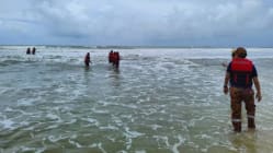 Related article image