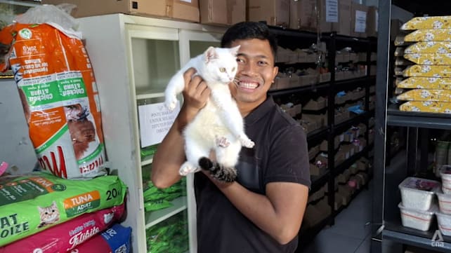 Pahlawan anabul: Demi kucing liar, Ananda menyusuri stasiun dan mendaki gunung 