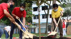 Related article image